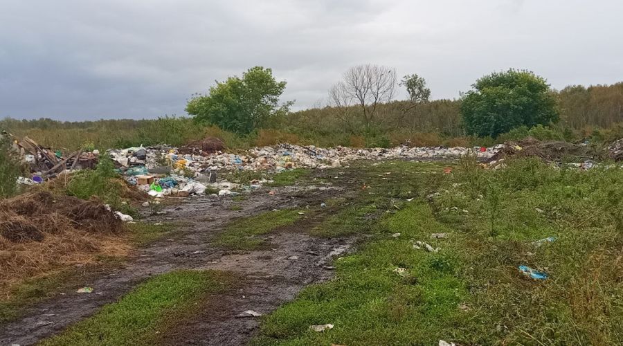 Свалка мусора разожгла протестные настроения в алтайском селе