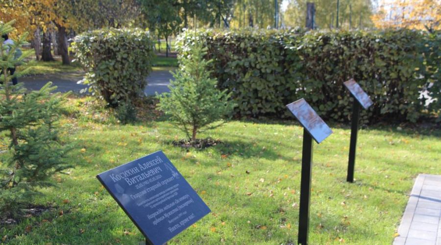 Аллею памяти солдат СВО заложили в барнаульской школе