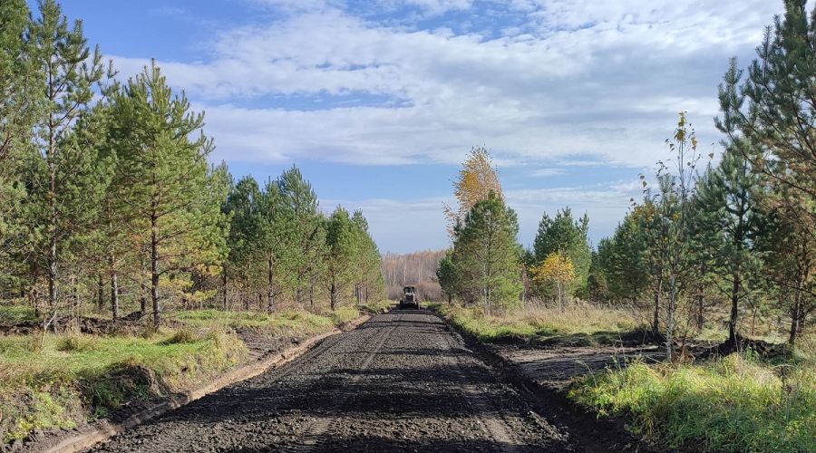 Новый дачный поселок «Снегири» под Барнаулом приглашает жильцов