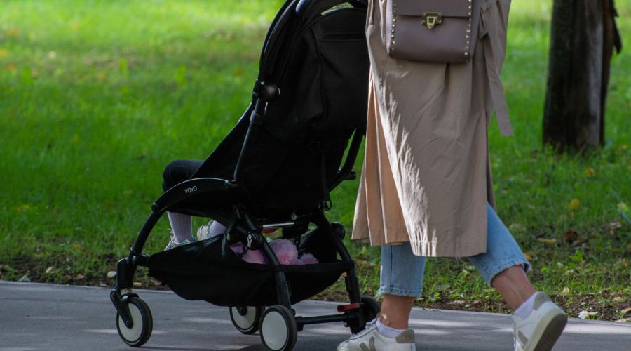 На повышение рождаемости в Алтайском крае выделят свыше 2,8 млрд рублей в 2025 году