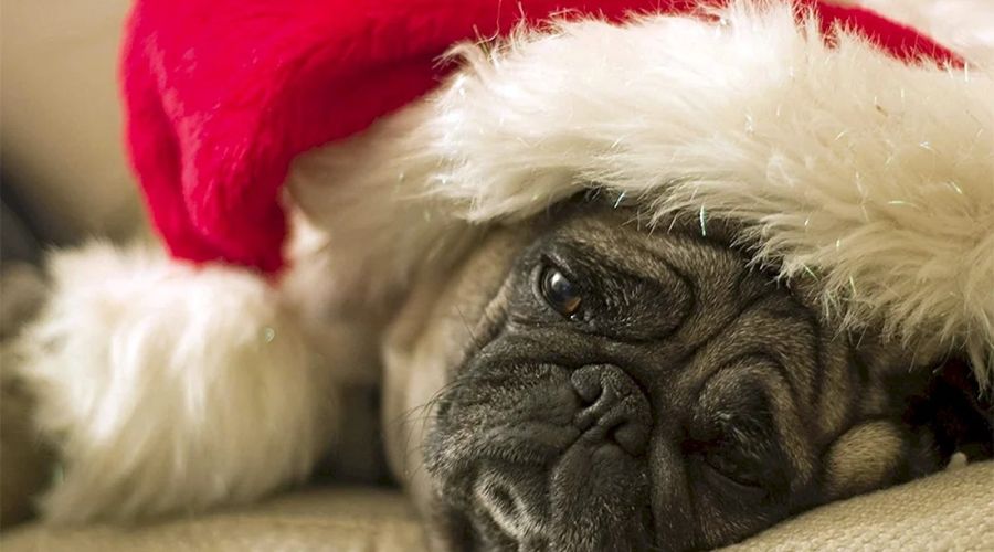 «Попросим у Деда Мороза пощады»: спикеры «Банкфакса» подвели итоги 2024 года