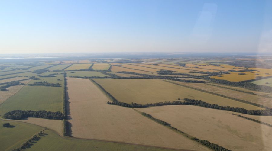 В Алтайском крае предложили снизить ограничение на покупку сельхозземель в одни руки