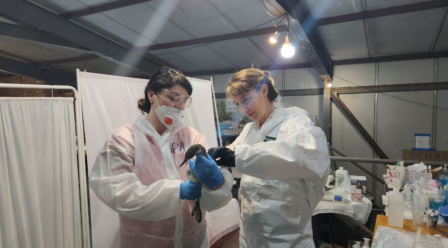 Ирина Елкина<span style=