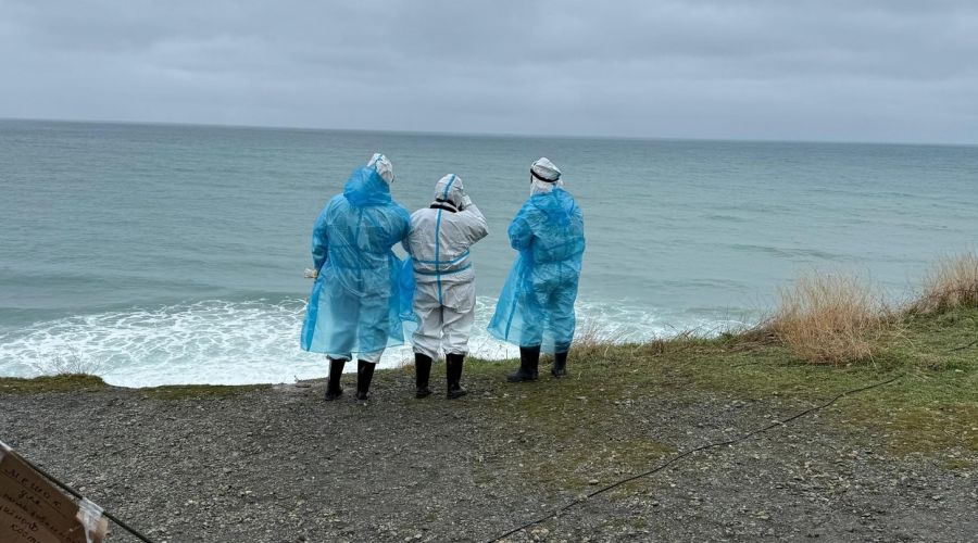 «Бума нет»: эксперты в «двух Алтаях» оценили возможный наплыв туристов на фоне мазута в Черном море