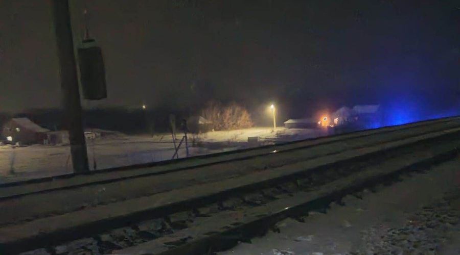 Электричка насмерть сбила женщину в Заринском районе