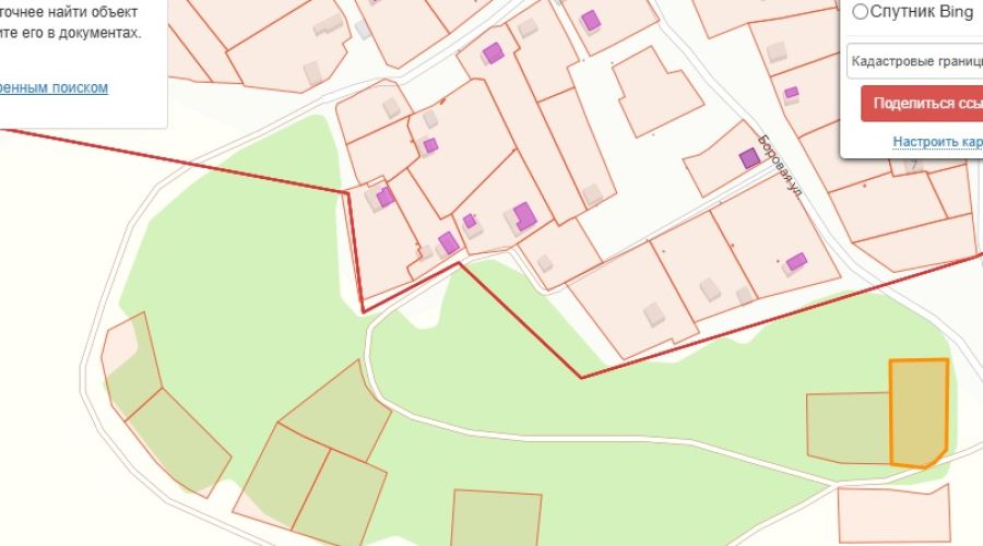 Десятки человек в алтайском селе встали за 300-летний сосновый бор