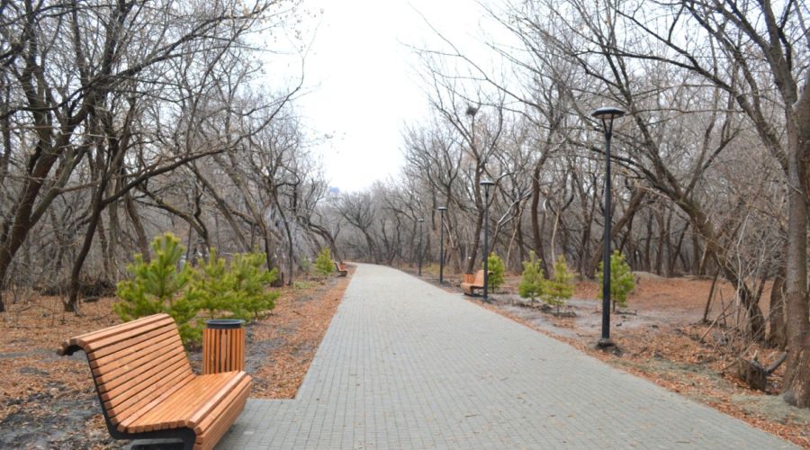 На благоустройство двух барнаульских парков уйдет более 130 млн рублей