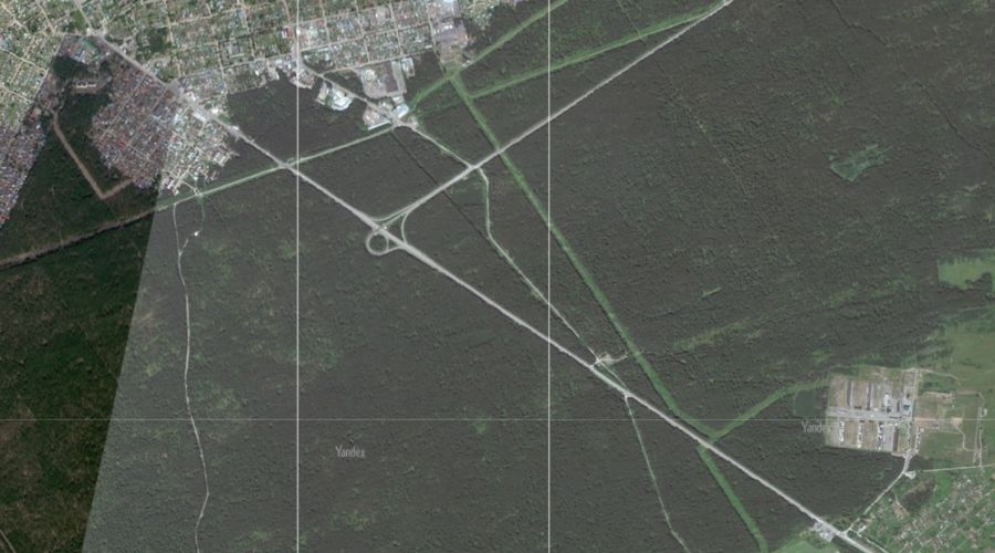 Власти Алтайского края планируют изъять более 38 га лесных земель для строительства трассы