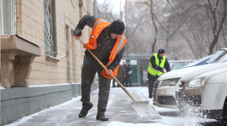 В Алтайском крае значительно вырос спрос на дворников и слесарей