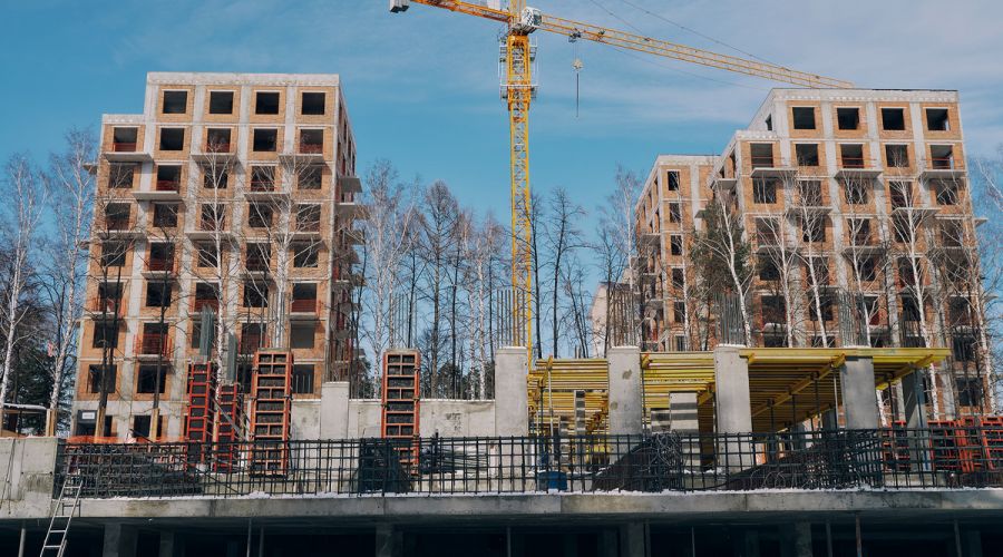 Реликтовый бор и липовая аллея: эксперты дали оценку «зеленому поясу» по соседству с барнаульским жилым кварталом