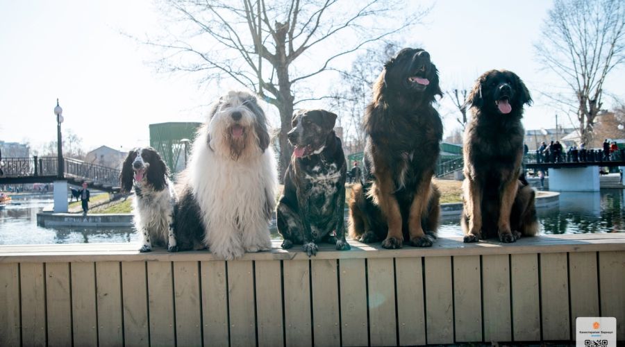 Джим посередине