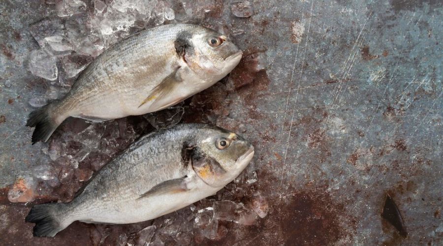 Фото иллюстративное