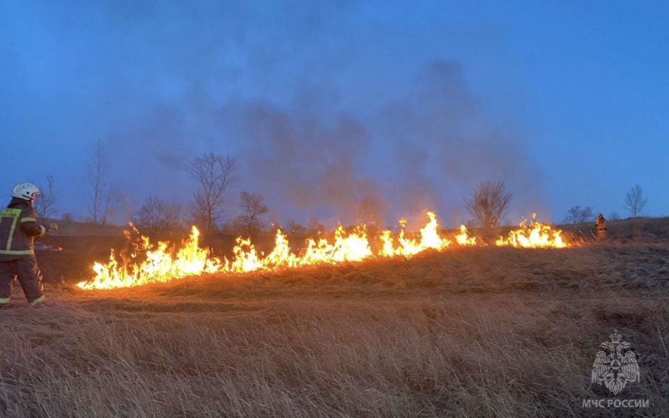 В Алтайском крае возросло число лесных пожаров за прошедший сезон - Новости Банкфакс, 19.11.2025