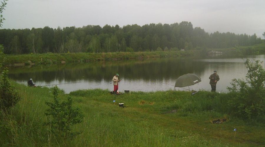 Переход пруда в частные руки возмутил жителей Заринского района и привлек внимание прокуратуры