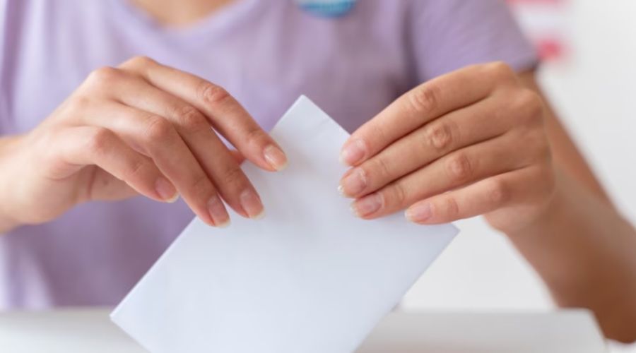 Более 150 депутатов: в 2025 году в Алтайском крае ожидается масштабная выборная кампания