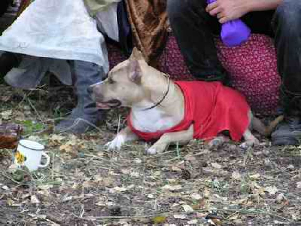 закрытие ролевого сезона 2003: десятый юбилейный турнир (фото репортаж)