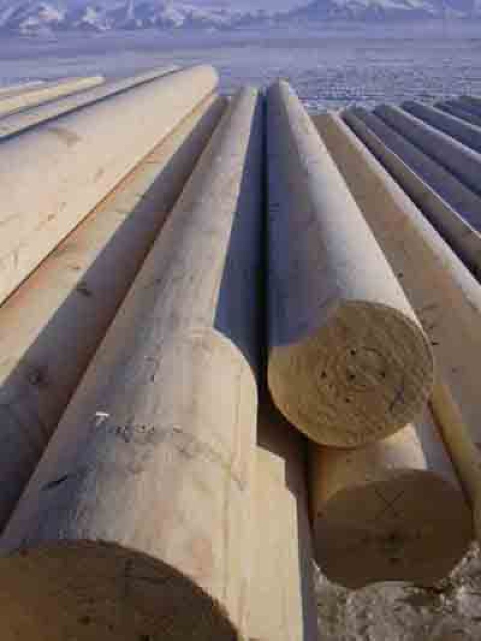 Село бельтир глазами очевидца: сроительство разрушенных
землетрясением домов вновь стало ареной противостояния кремля и
администрации михаила лапшина.