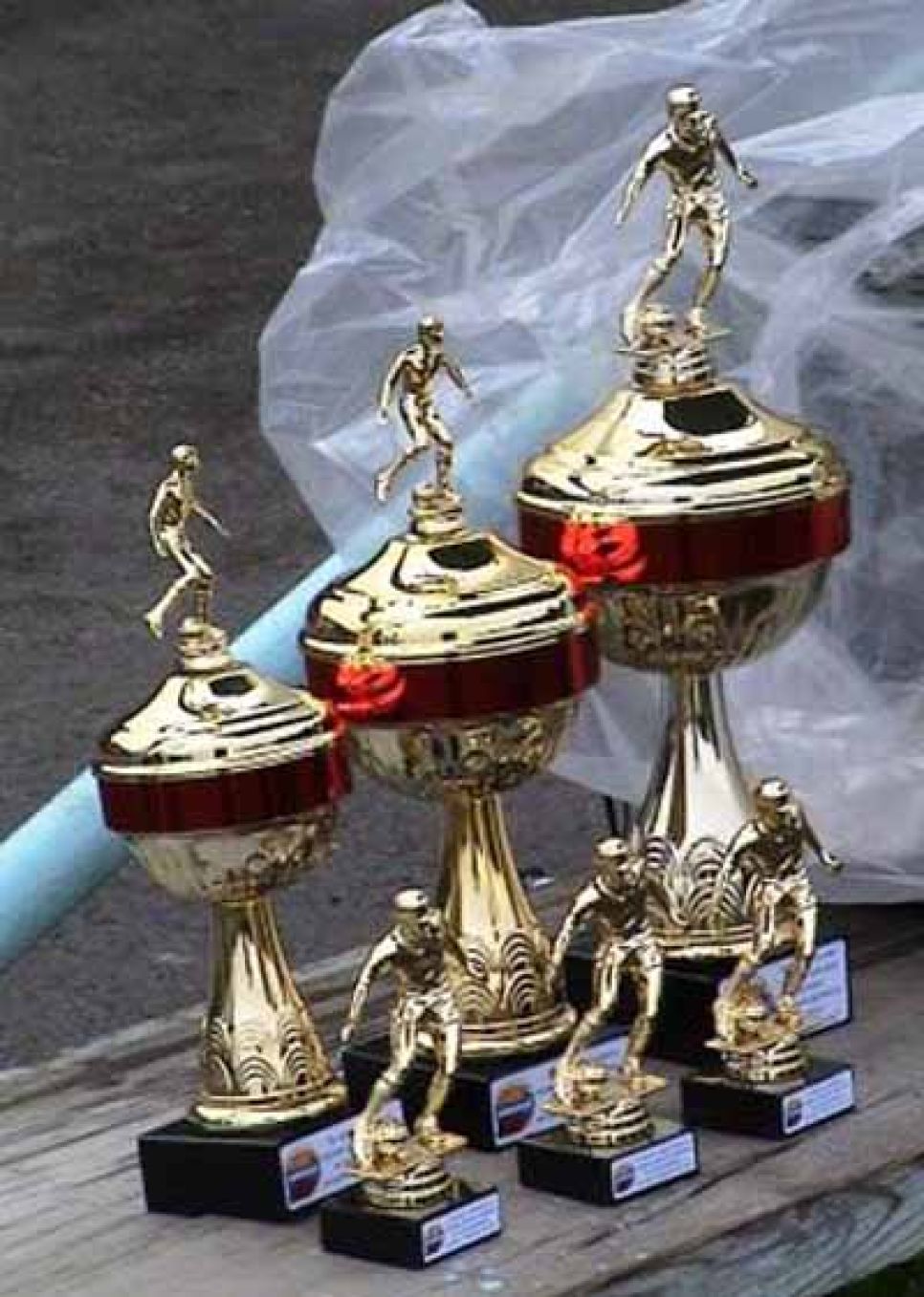 Команде администрации алтайского края засчитано
техническое поражение. пока только в мини-футболе.