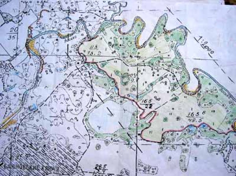 Организации, близкие к секте
"анастасийщиков", на страницах краевого официоза подняли свой
голос в защиту алтайского губернатора михаила
евдокимова.