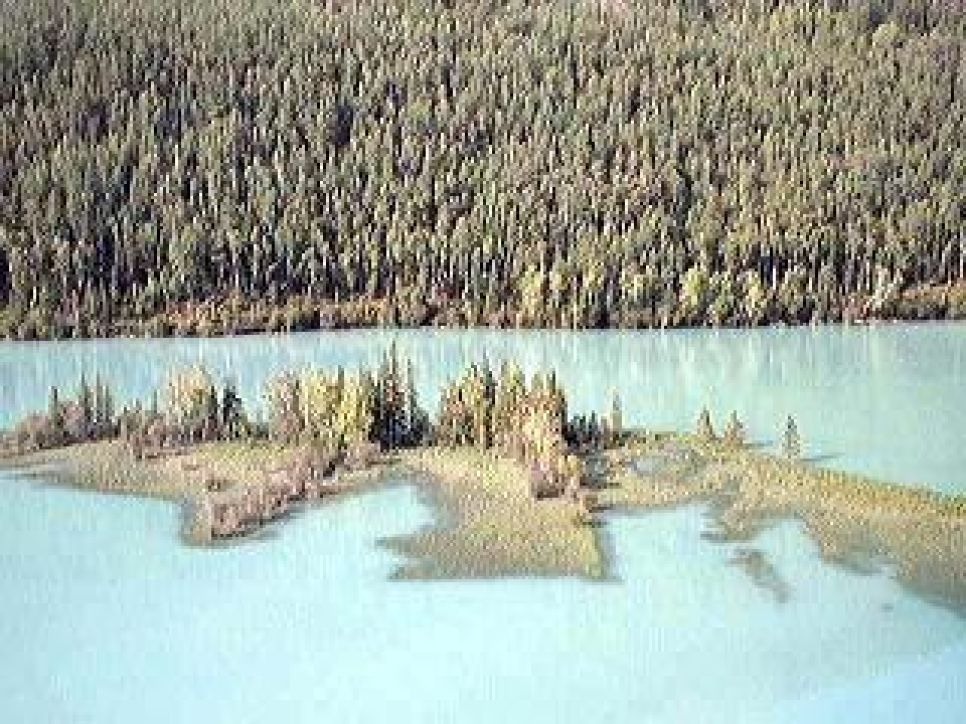 Туристы атакуют озеро Канас (Синьцзян, Китай): там
опять видели чудовище.