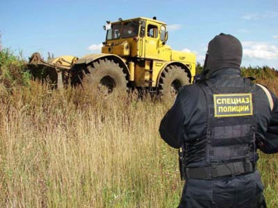 Работники птицефабрики "Комсомольская" Павловского района
помогли алтайским наркополицейским косить коноплю.
