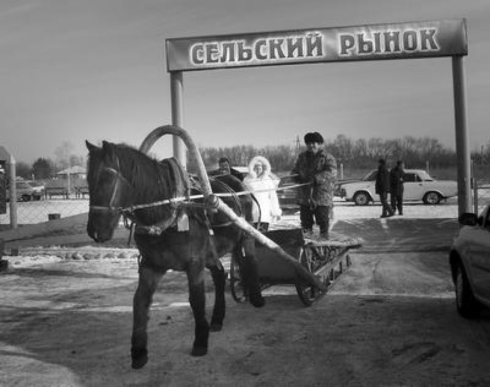 Для продажи сельхозпродукции власти Алтайского края декларируют
программу по созданию сети "народных" рынков.