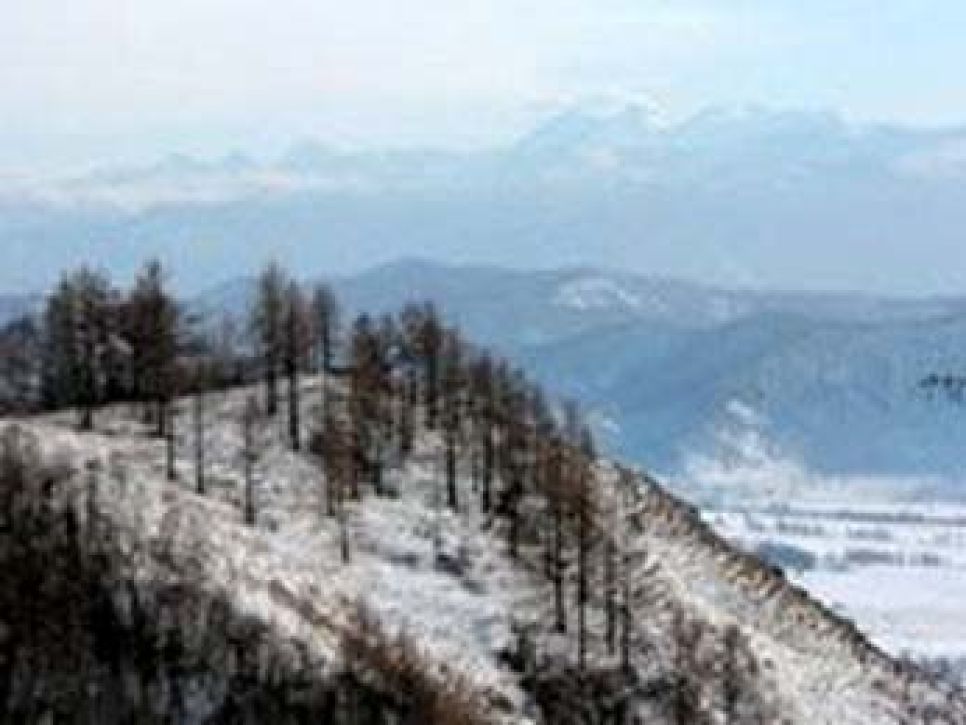 На Алтае зафиксирован первый лесной пожар.