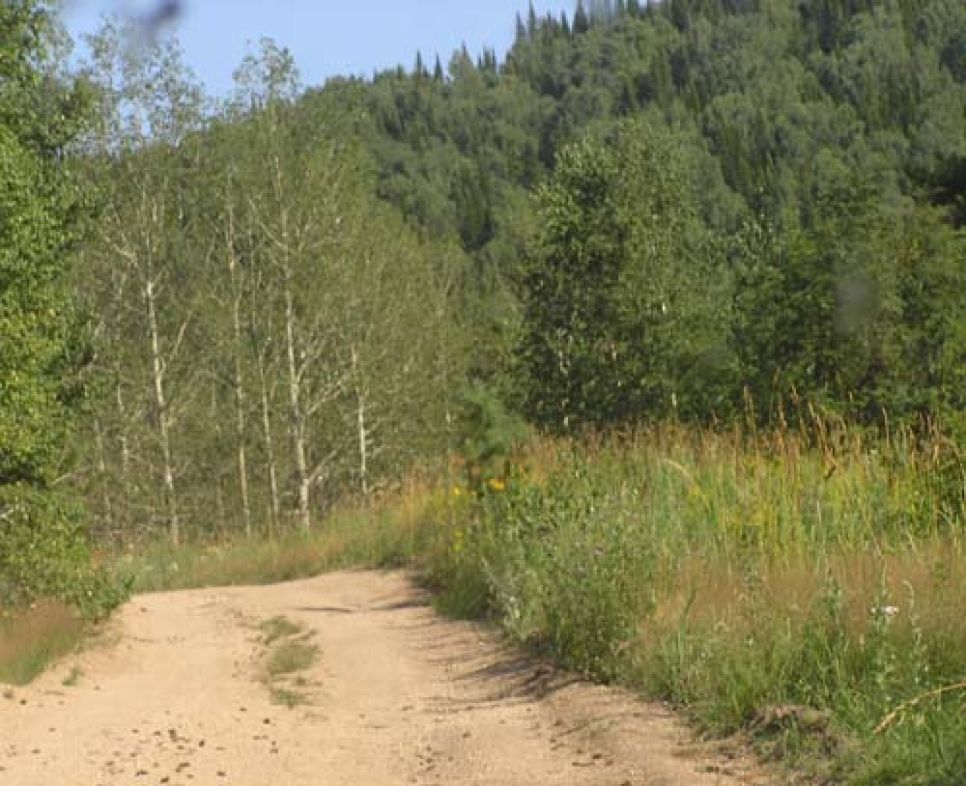 Горная Колывань: сегодняшний день и
перспективы забытой туристической зоны.