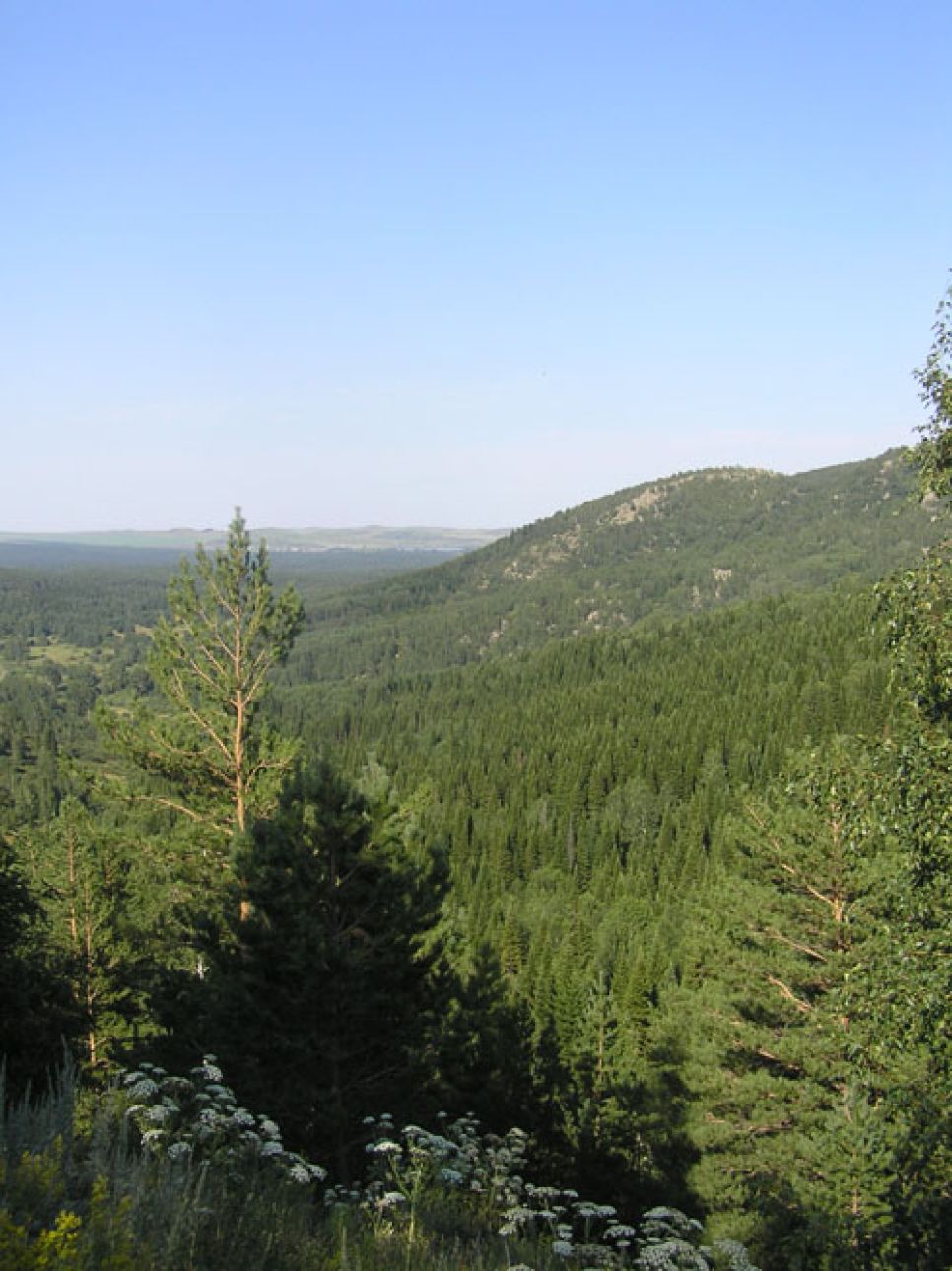 Горная Колывань: сегодняшний день и
перспективы забытой туристической зоны.