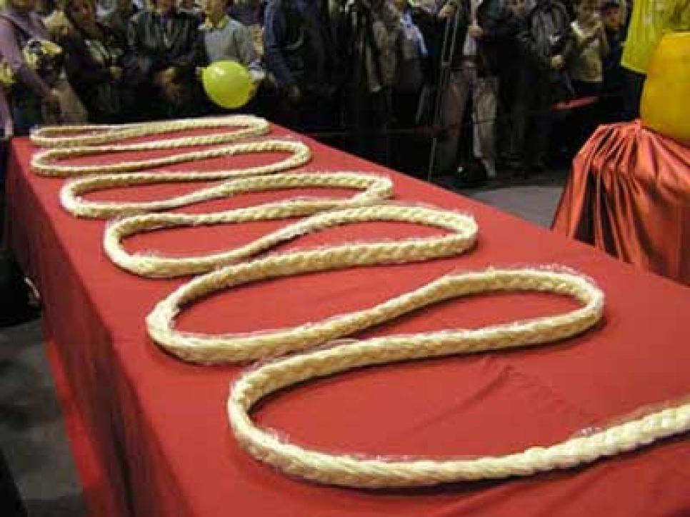 Попадут ли сыроделы Алтайского края в "Книгу рекордов
Гиннеса-2007", станет известно еще до думских выборов. (Фоторепортаж).