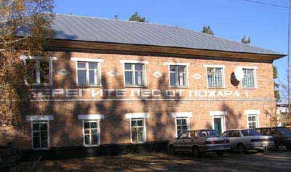 Журналист София Боброва: "В лесах
природного заказника "Кислухинский", арендуемых ЗАО
"Алтайкровля", поджигают реликтовые сосны".