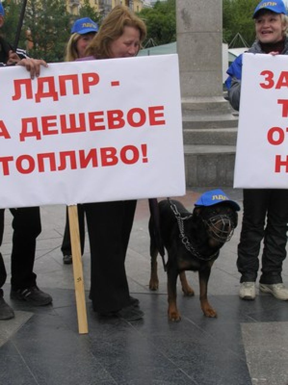 Барнаульские "жириновцы" протестовали против роста цен на
бензин. Фоторепортаж.