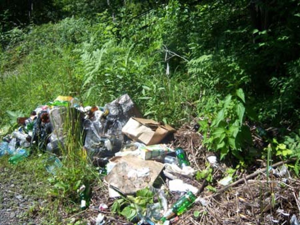 Депутат Заксобрания Алтайского края Игорь Вольфсон отправил
письмо губернатору: проблемы туристического освоения зоны озера
Ая могут усилиться из-за реализации проекта "Бирюзовая Катунь".