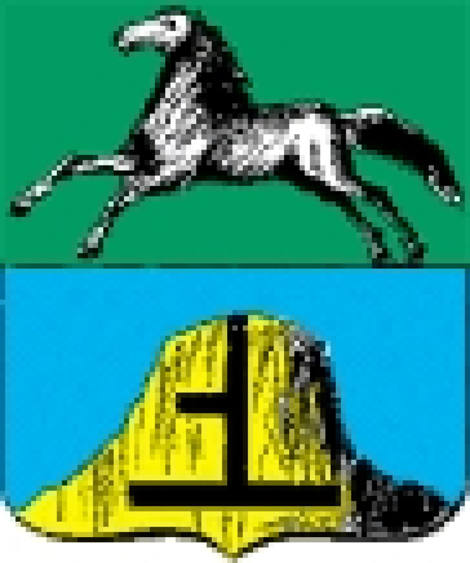 К 300-летию Бийска городские власти намерены заменить
исторический герб города новоделом.