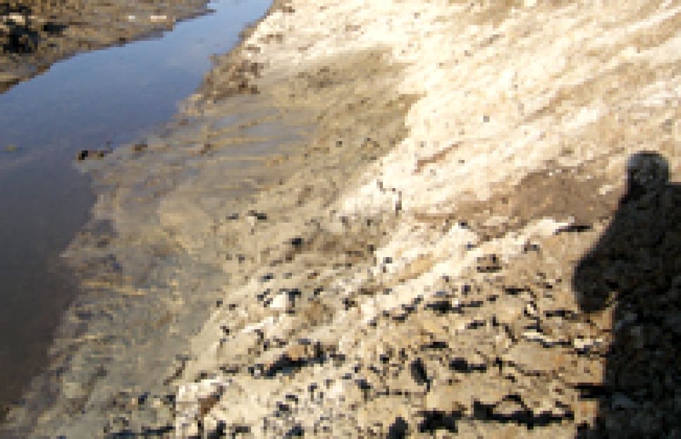 "Шукшиномания": известный пензенский
журналист заснял явившийся к нему дух Шукшина, переселившийся в
места обитания своих предков.