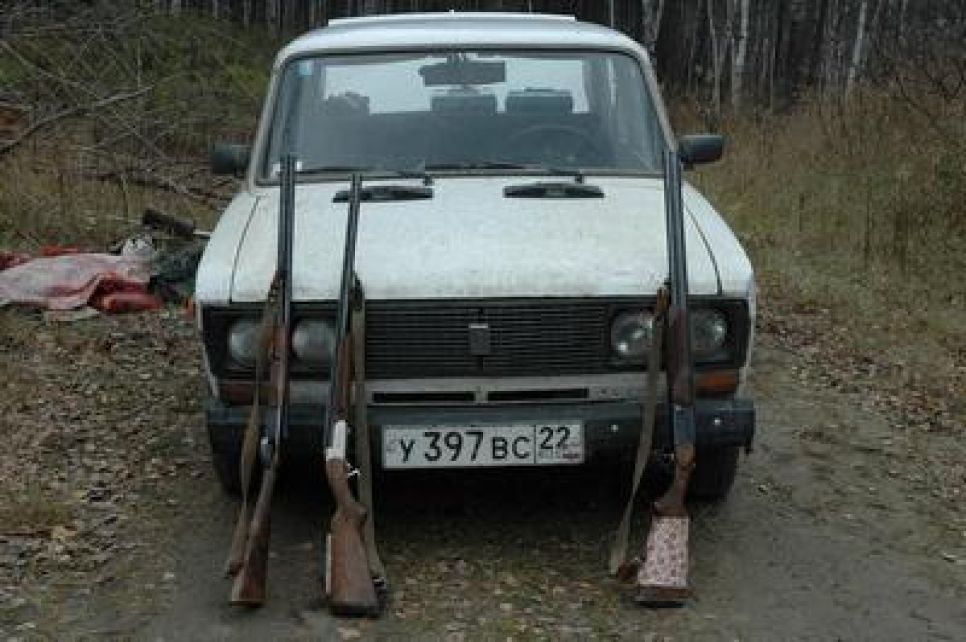 Бийские браконьеры убили лося в Обском заказнике.