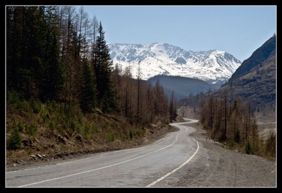 75 лет исполнилось Чуйскому тракту, соединяющему Алтай и
Монголию.