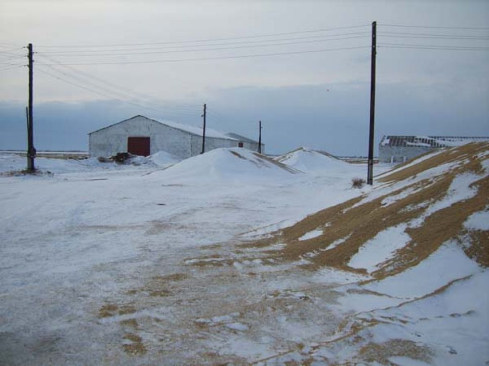 "Алтайское приобье"- 2 в действии: никому не нужный рекордный урожай
зерновых так и остался под снегом на полях края (фото читателя).