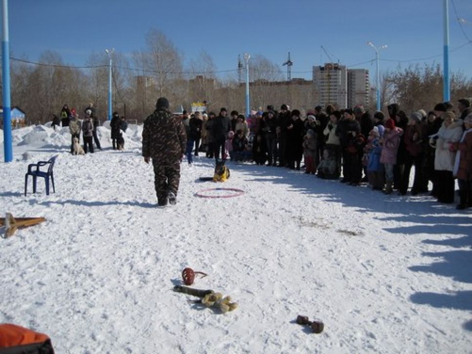 В Барнауле прошел праздник "Пёс-Барбос - необычный кросс".
Фото.