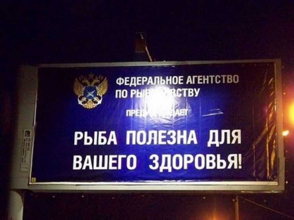 "Государева рыбка": губернатор Алтайского края обсудил в
Росрыболовстве планы ограничения в регионе права на ловлю рыбы.