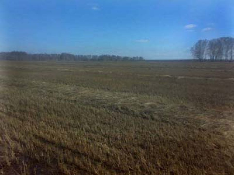 Житель Первомайского района Олег Боронин: Эх, господа
алтайские чиновники, увидели бы старые фронтовики - председатели
колхозов, что творится при вас на селе...