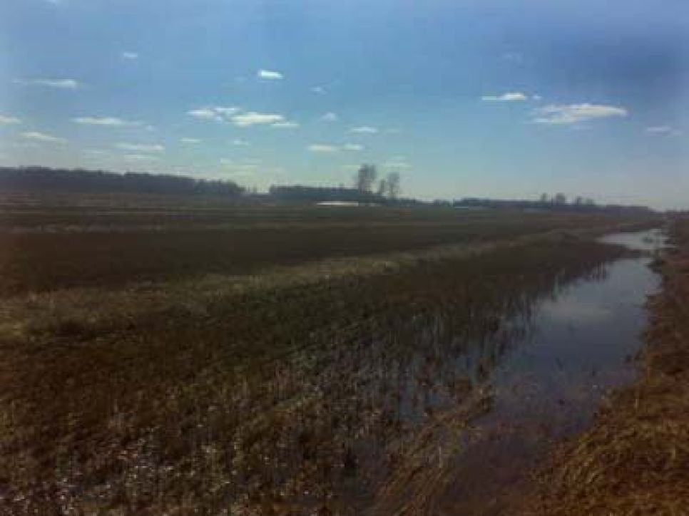 Житель Первомайского района Олег Боронин: Эх, господа
алтайские чиновники, увидели бы старые фронтовики - председатели
колхозов, что творится при вас на селе...