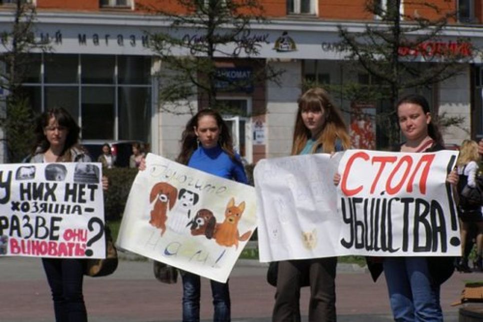 Барнаул присоединился к акции "Россия без жестокости!".