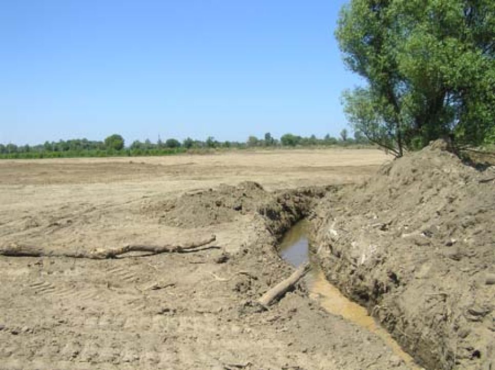 Большая часть участка под застройку элитного поселка "Чистые
пруды" под Барнаулом из-за разлива Оби превратилась в болото.
Фото.