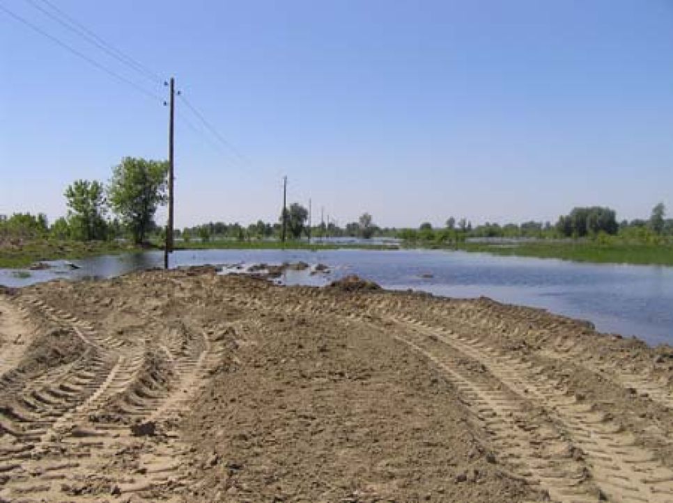 Большая часть участка под застройку элитного поселка "Чистые
пруды" под Барнаулом из-за разлива Оби превратилась в болото.
Фото.