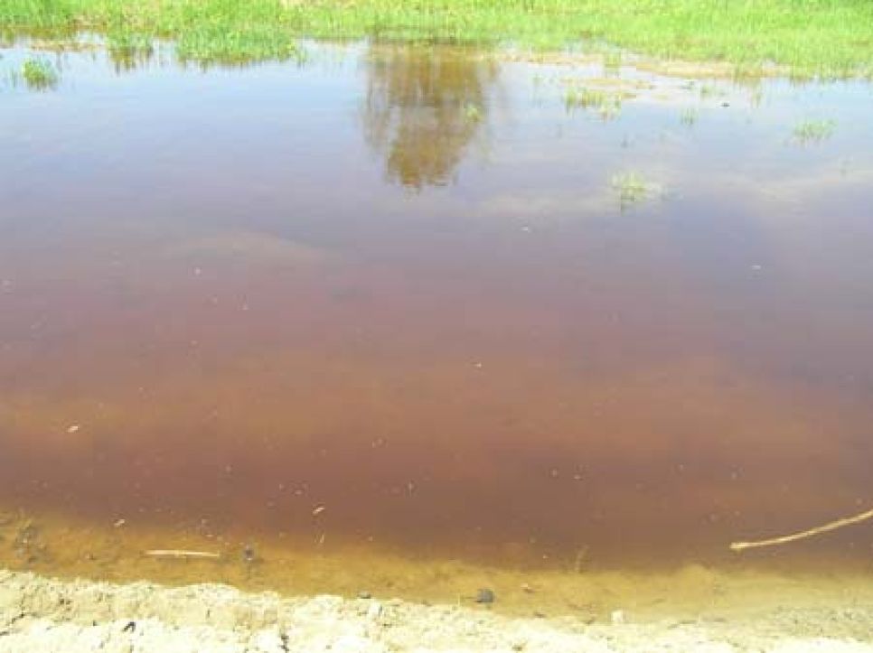 Большая часть участка под застройку элитного поселка "Чистые
пруды" под Барнаулом из-за разлива Оби превратилась в болото.
Фото.