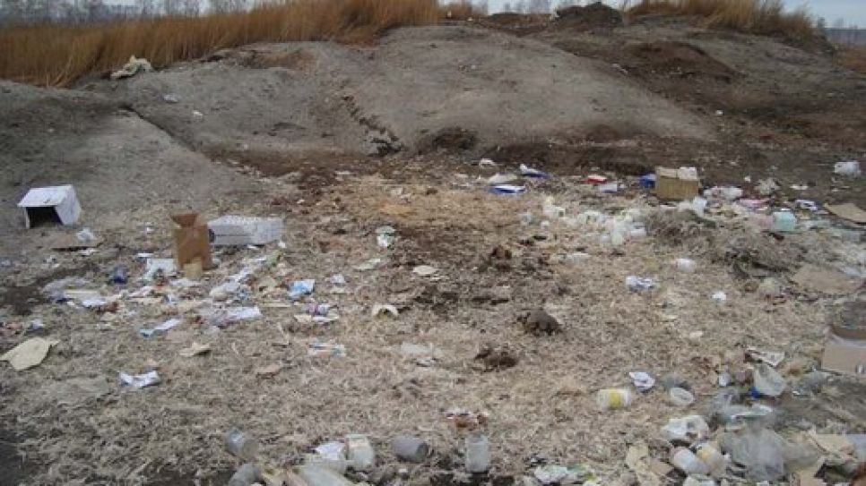 Под Камнем-на-Оби на несанкционированной свалке отходов
местной птицефабрики разлагаются куриные трупы. Фото.