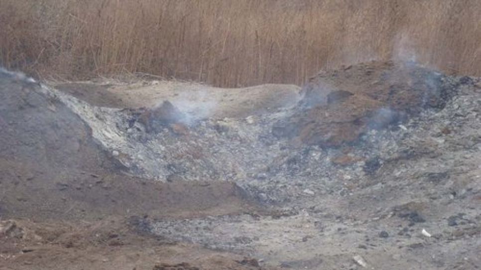 Под Камнем-на-Оби на несанкционированной свалке отходов
местной птицефабрики разлагаются куриные трупы. Фото.