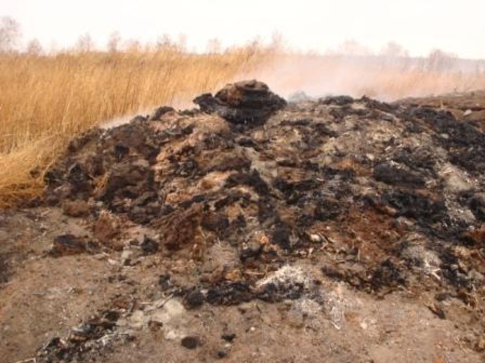 В отношении "Каменской птицефабрики", устроившей
несанкционированную свалку отходов своего производства, возбуждено административное дело.