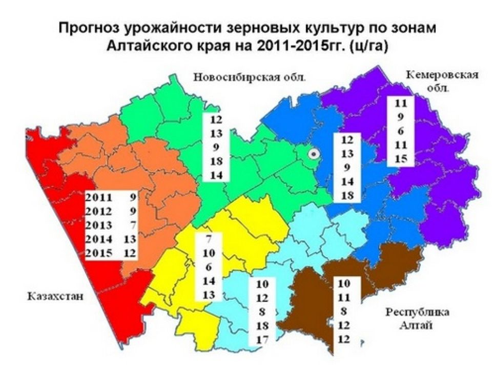 Член Академии прогнозирования Владимир Понько: Алтайский край
ожидает три засушливых года с низким урожаем зерновых.